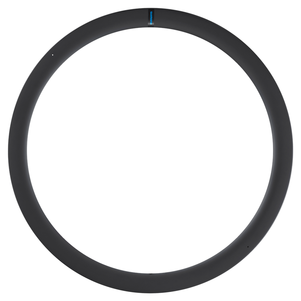 Aro SHIMANO 700 WH-RS710-C46 24H delantero o posterior