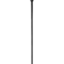 [BP-RAD157] Radios DT SWISS CHAMPION 298mm SP S recto